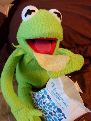 manger de la grenouille Kermit