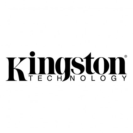 Firma Kingston technology
