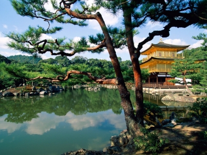 Kinkaku ji temple kyoto hình nền thế giới Nhật bản