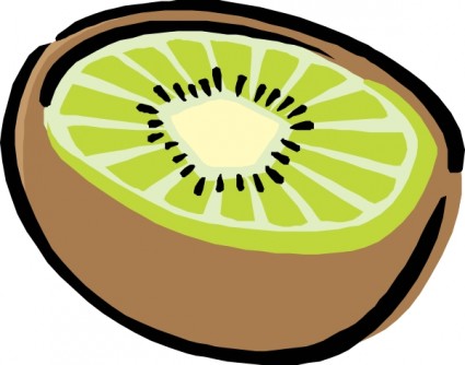 clip art de kiwi