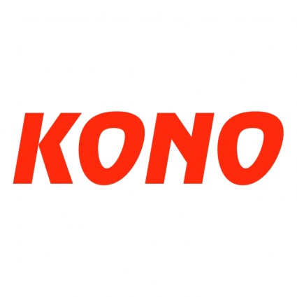 Dystrykt Kono