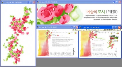 韓国の花 psd 層状