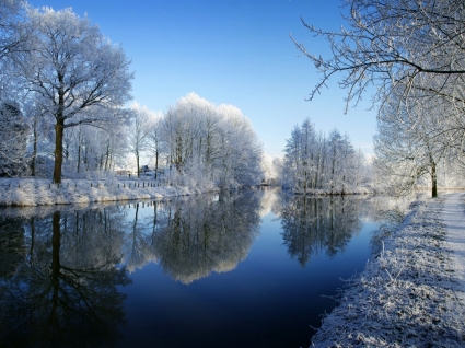 Kromme Rijn Tapete Winternatur