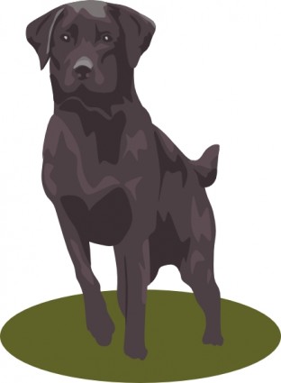 Labrador retriever đen clip nghệ thuật