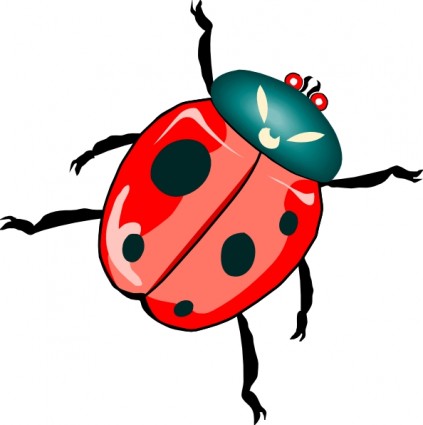 Lady bug küçük resim