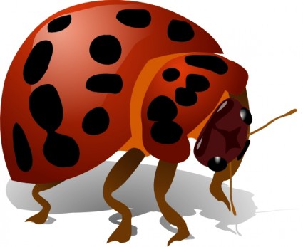 clip art de Lady bug