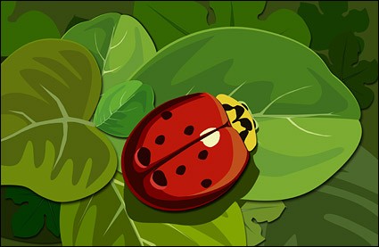 ladybugs บนใบไม้สีเขียว