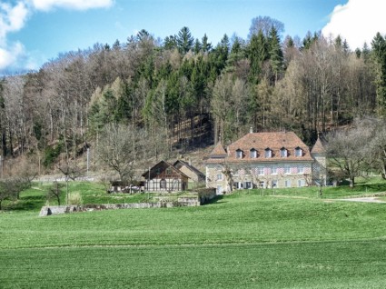 Lagendorf Switzerland Forest