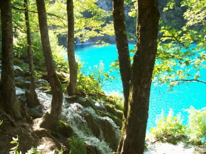 See-Natur-Wasser See-Natur-Wasser