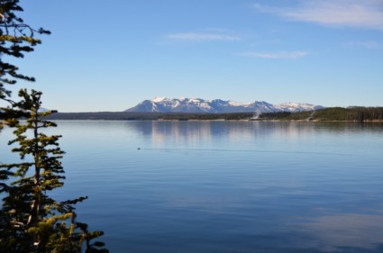 Lake view nước