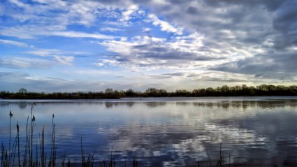 湖の水の自然