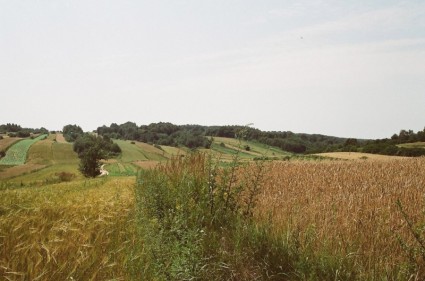 paisagem