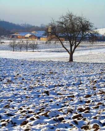 Landschaft Bauernhof ländliche