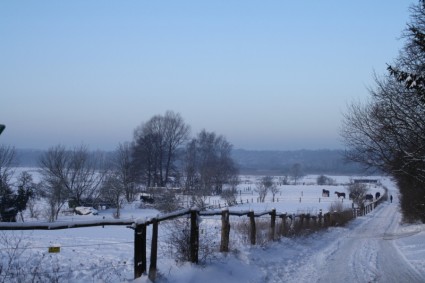風景の自然の冬