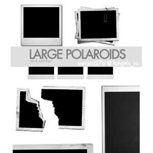 grandes escovas de polaroid