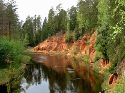 Letonya Orman ağaçları