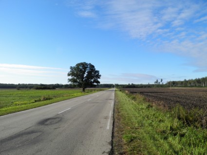 Латвия пейзаж дорога