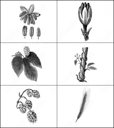 Blatt und Blume-Pinsel