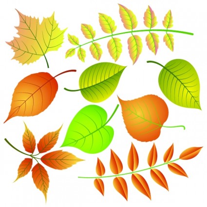 葉のベクトル