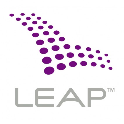Leap wireless