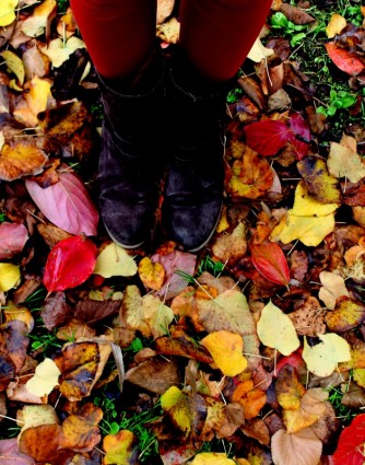 葉の秋の足