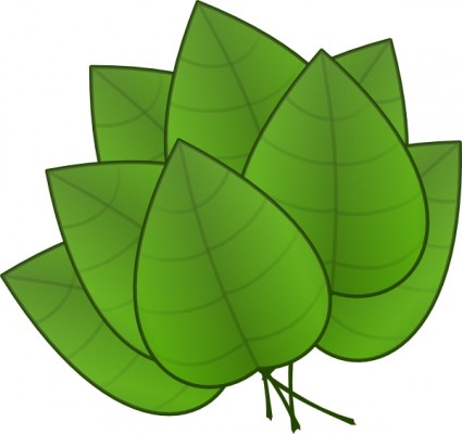 Blätter ClipArt