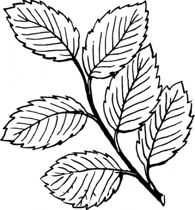 hojas clip art