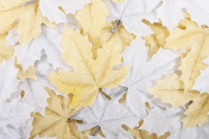 sfondo decorazione foglie