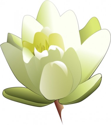 Leland mcinnes water lily clip nghệ thuật