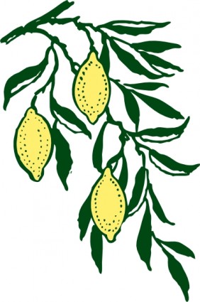 clip art de limón rama