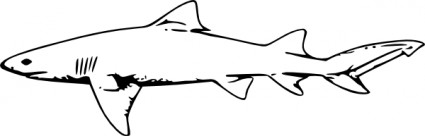 лимонная акула картинки