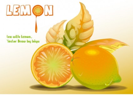 Lemon vector graphics