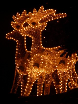 lichterkette クリスマスのトナカイ
