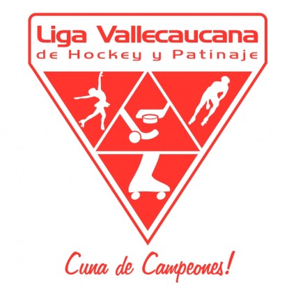 リーグ vallecaucana ・ デ ・ ホッケー y patinaje