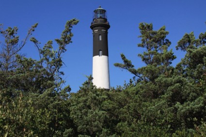 Lighthouse Behind Trees