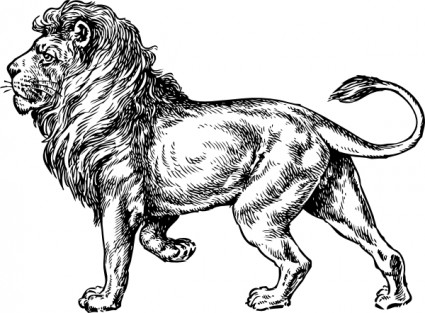獅子的剪貼畫