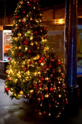 albero di Natale illuminato