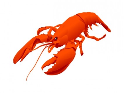 Lobster vektor