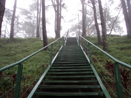 long escalier