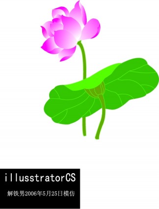 Lotus cg imiter