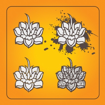 fiori di loto