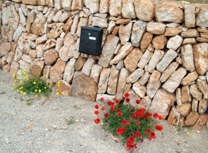 caixa de correio com flores