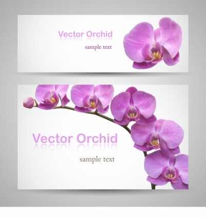 Malan cánh hoa của Hoa bảng quảng cáo biểu ngữ vector
