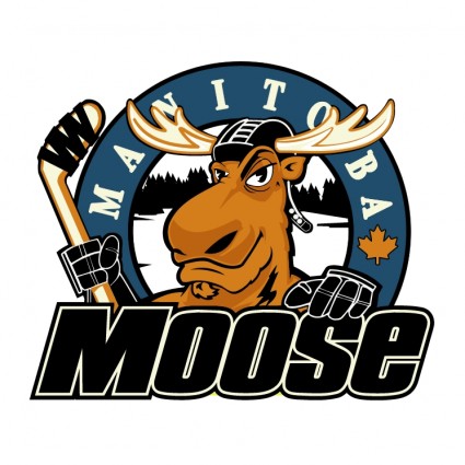 moose du Manitoba