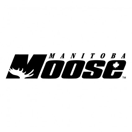 moose du Manitoba
