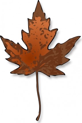 clipart de Maple leaf