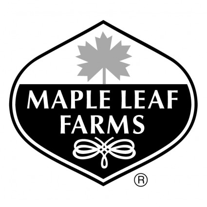 Maple Daun peternakan