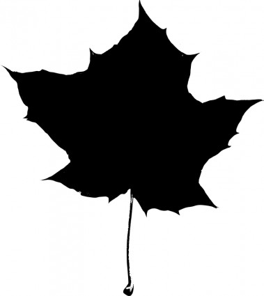 silhueta de folha de Maple