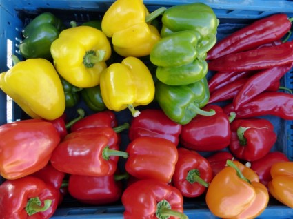 légumes du marché paprika