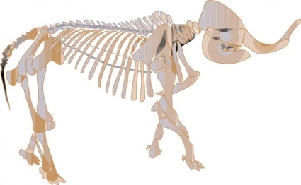 Mastodon fóssil clip-art
